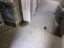 acastle 169960.jpg